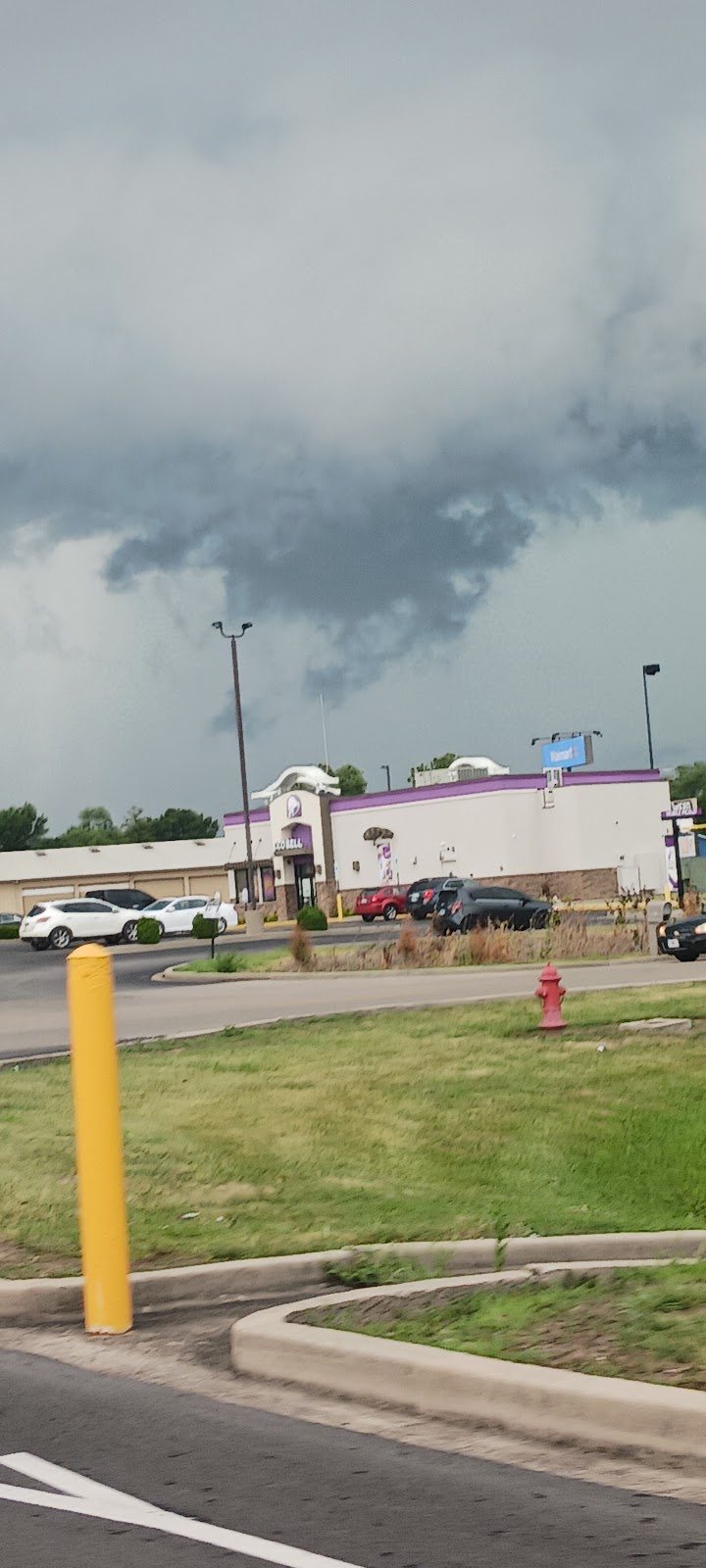 Egyptian Public and Mental Health Dept