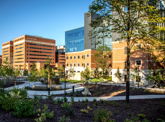 Mayo Clinic