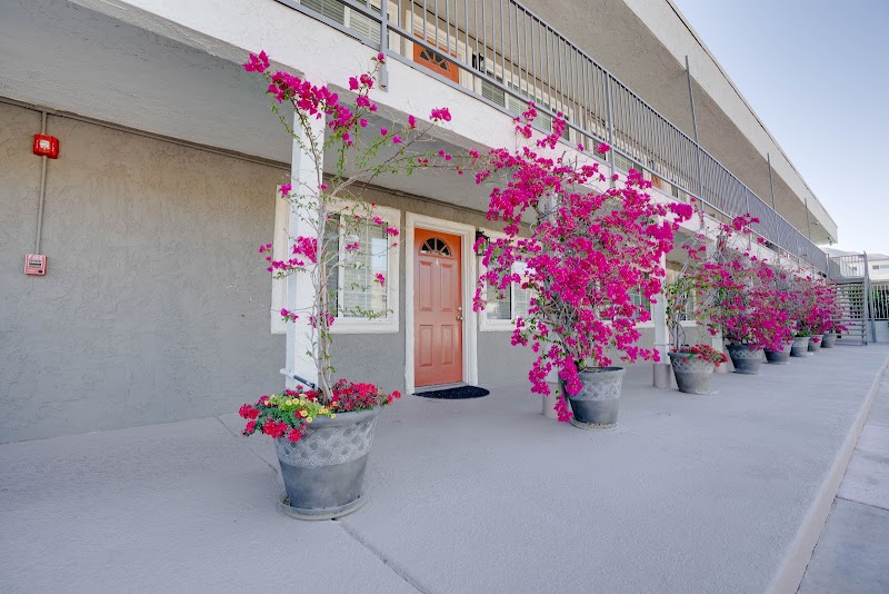 RUHS/Behavioral Health